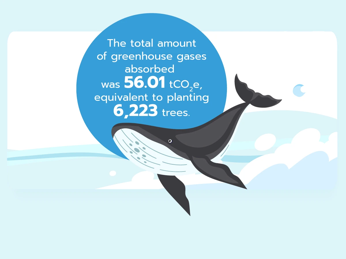 Care the Whale Project