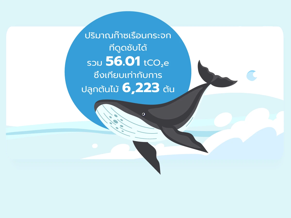 โครงการ Care the Whale